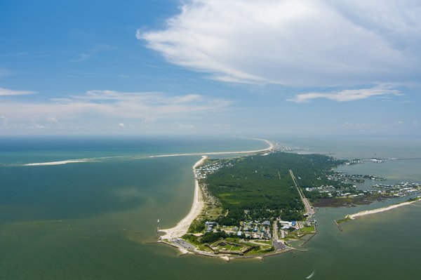 Quelles croisières offrent des excursions pour observer les dauphins en Floride?